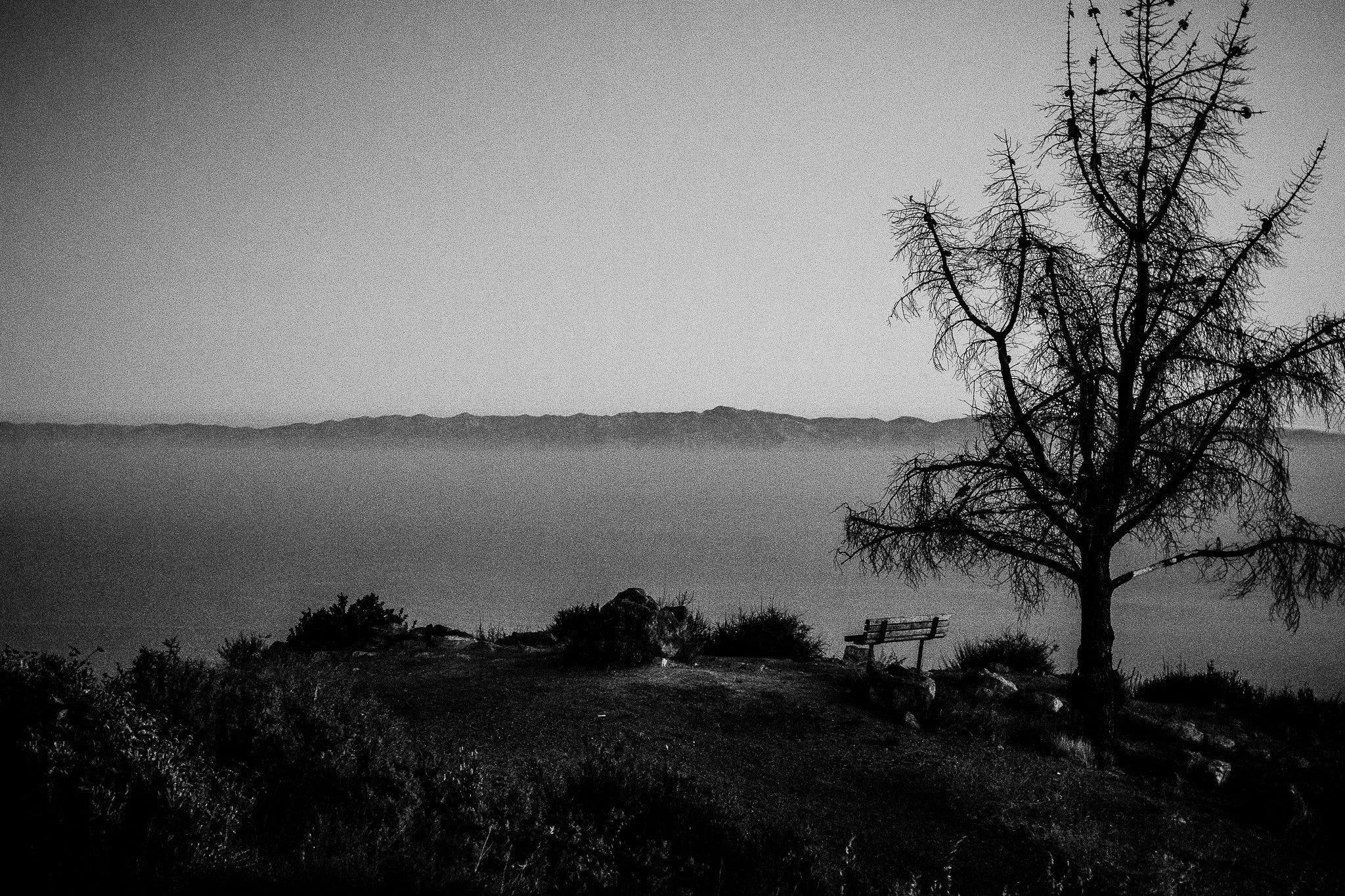 Lonely Bench (Framed Print)