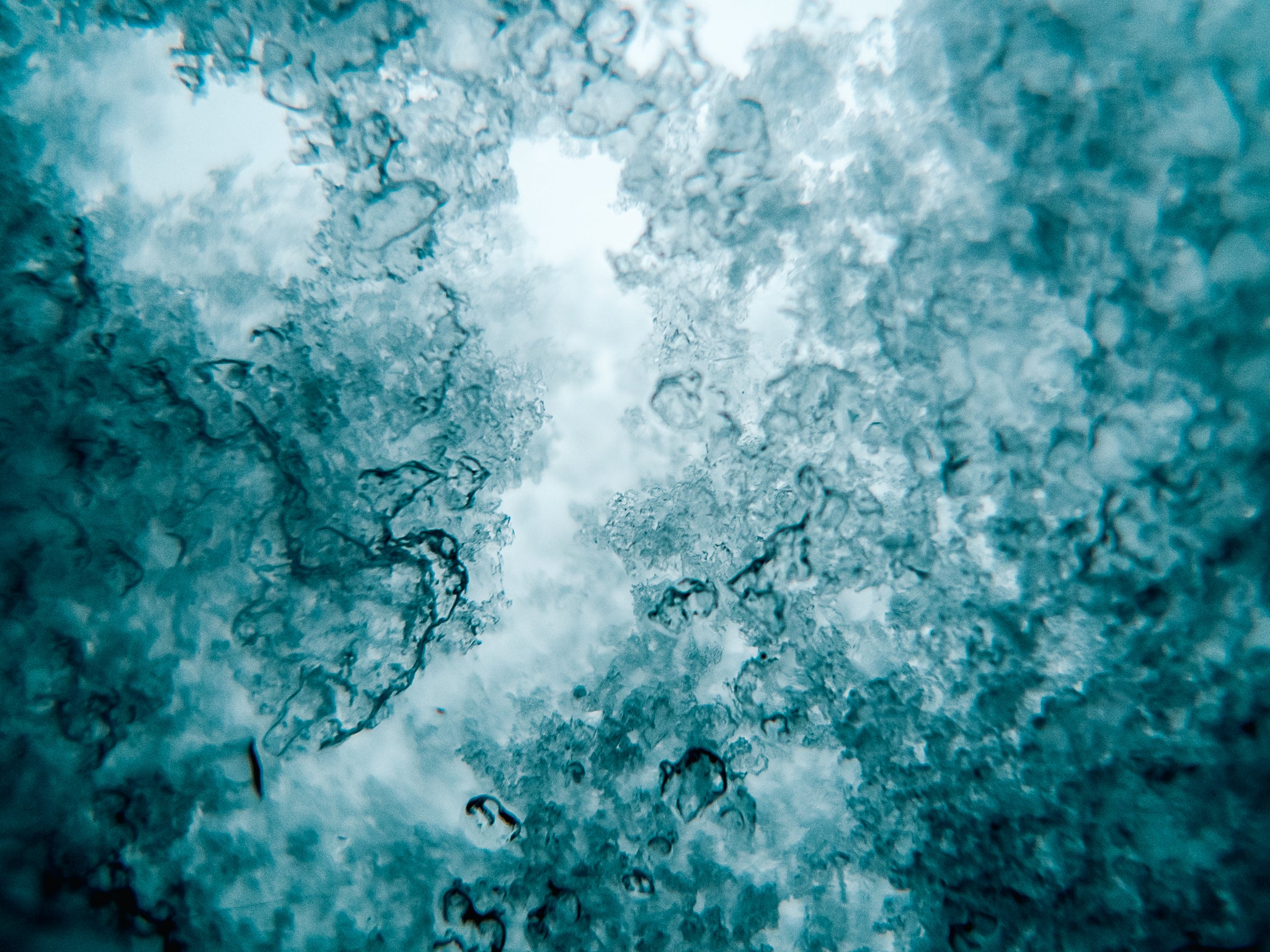 Trapped (Framed Print)