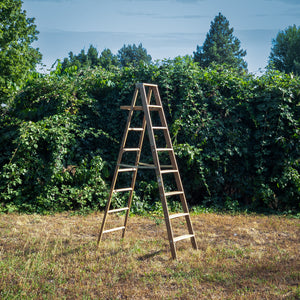 Ladder (Short Sleeve)