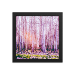 Fall in Line (Framed Print)