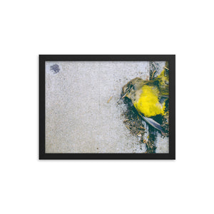 Yellow (Framed Print)