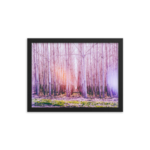 Fall in Line (Framed Print)