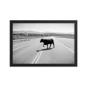 Drunk Cow (Framed Print)