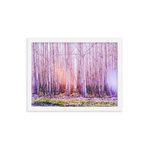 Fall in Line (Framed Print)