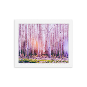 Fall in Line (Framed Print)